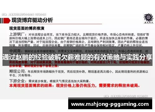 通过赵鹏的经验破解欠薪难题的有效策略与实践分享