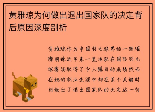 黄雅琼为何做出退出国家队的决定背后原因深度剖析